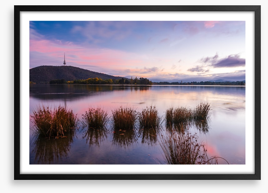 Calm in Canberra