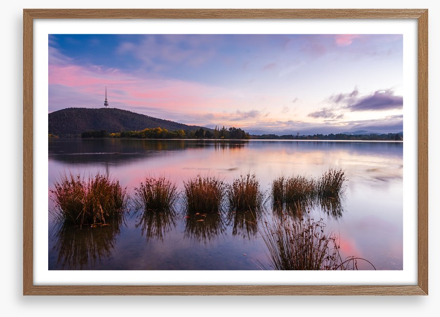 Calm in Canberra