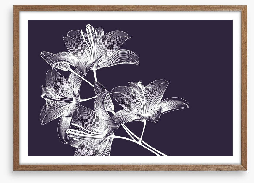Moonlight lilies