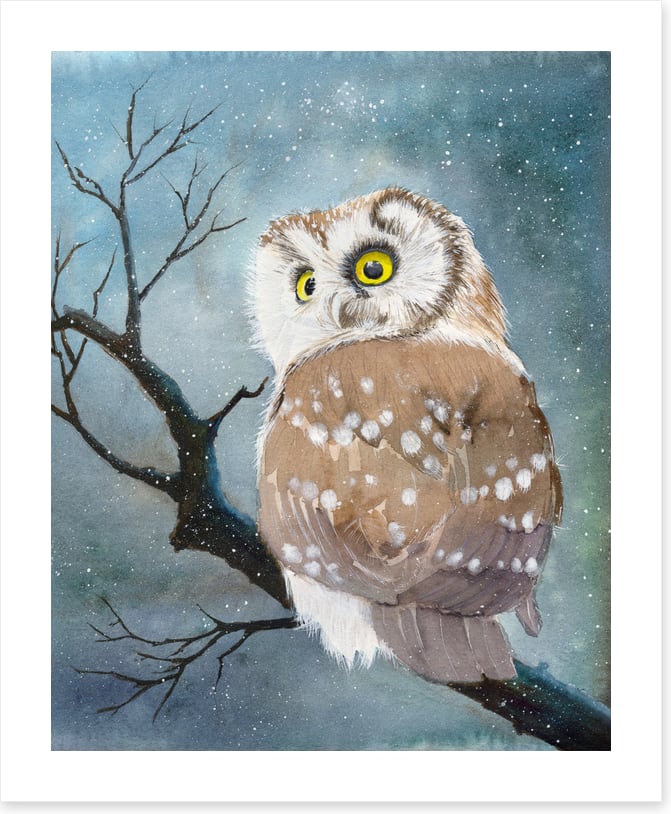 The night owl