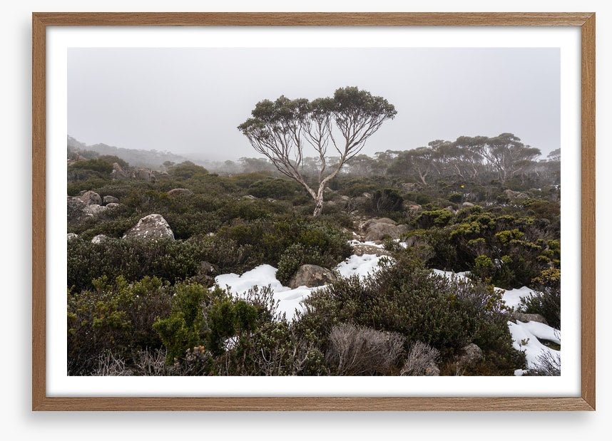 Mt Wellington winter