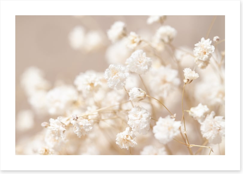 Tender wild