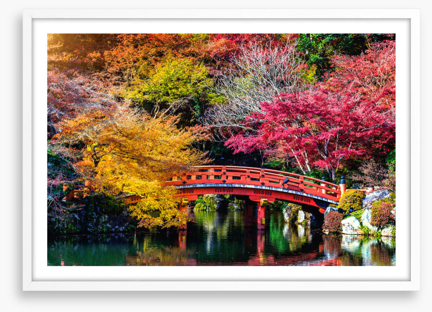 Kyoto fall