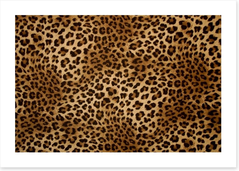 Animal Print