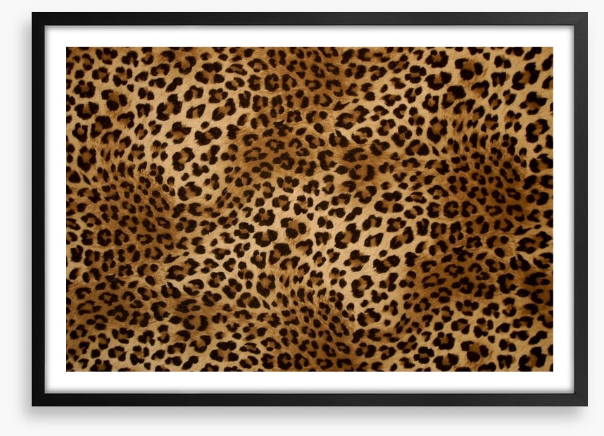 Animal Print