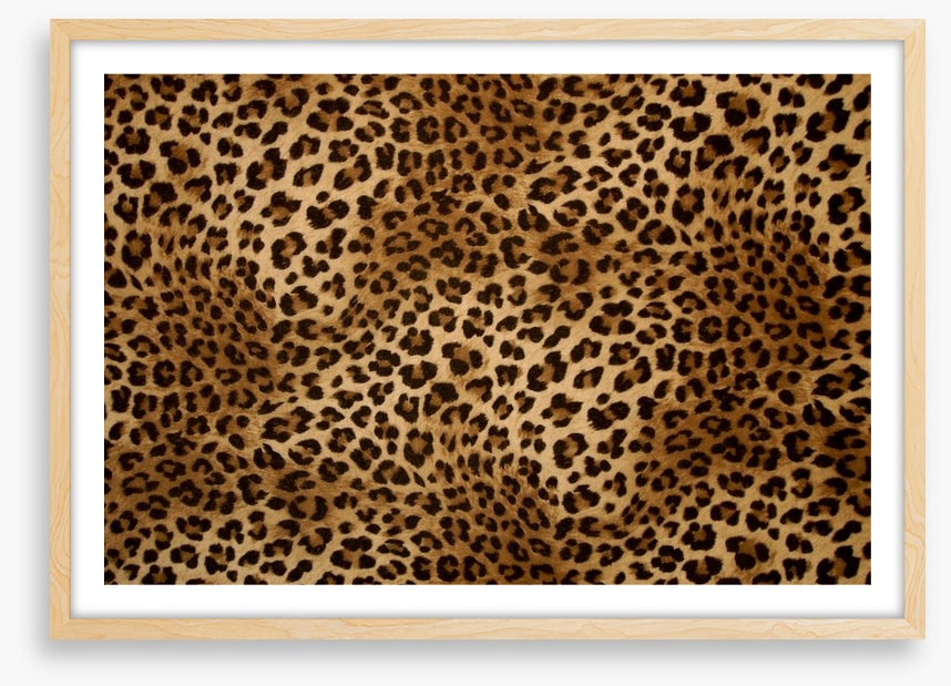 Animal Print
