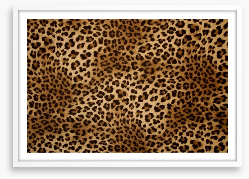 Animal Print