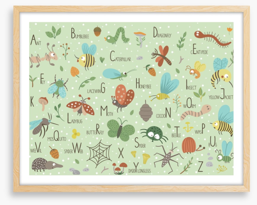 Insect alphabet