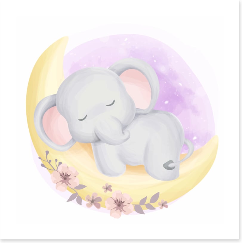 Elephants