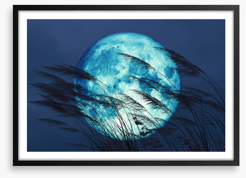 Bluegrass moon