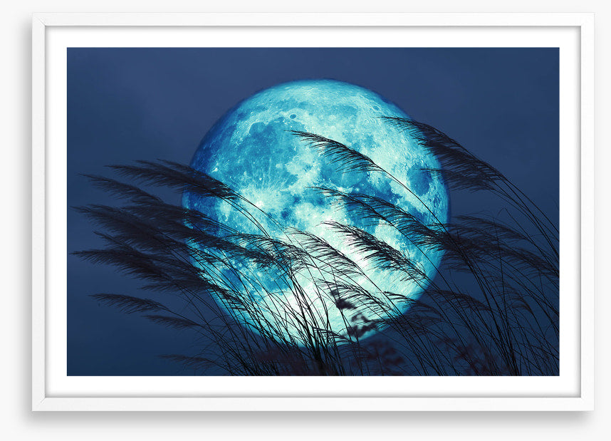 Bluegrass moon