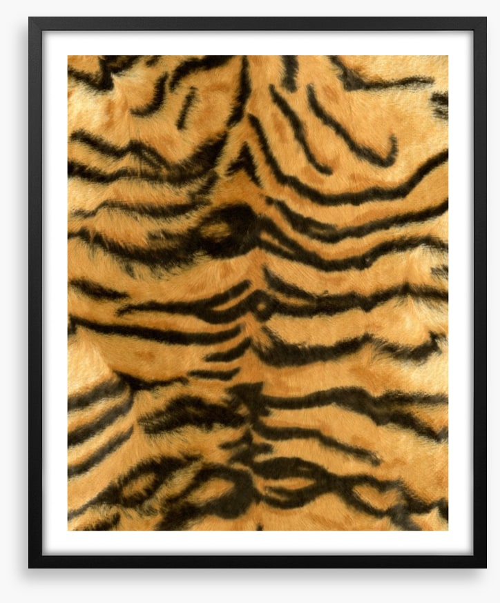 Animal Print