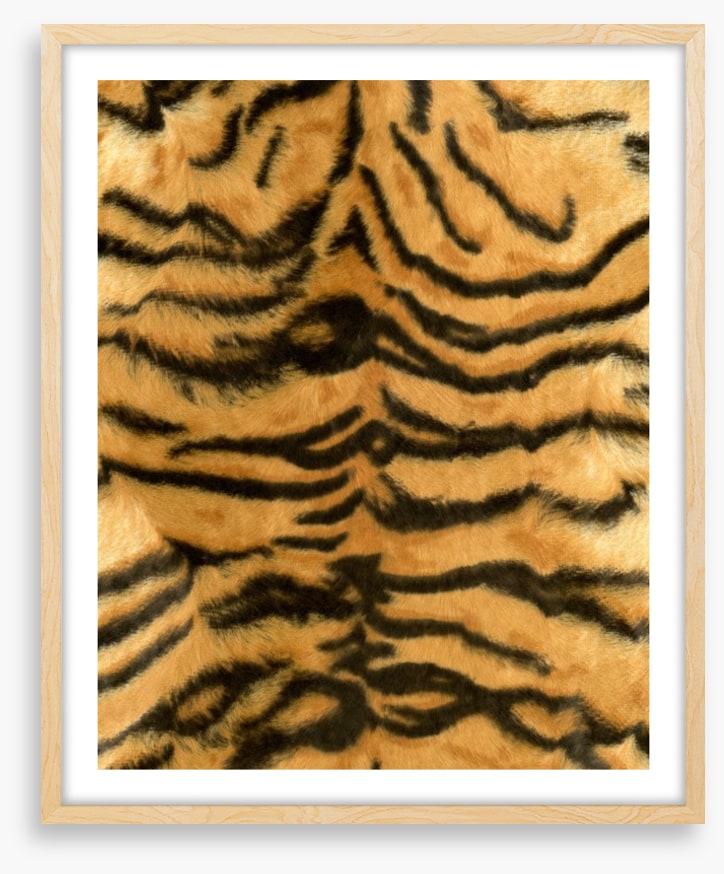 Animal Print