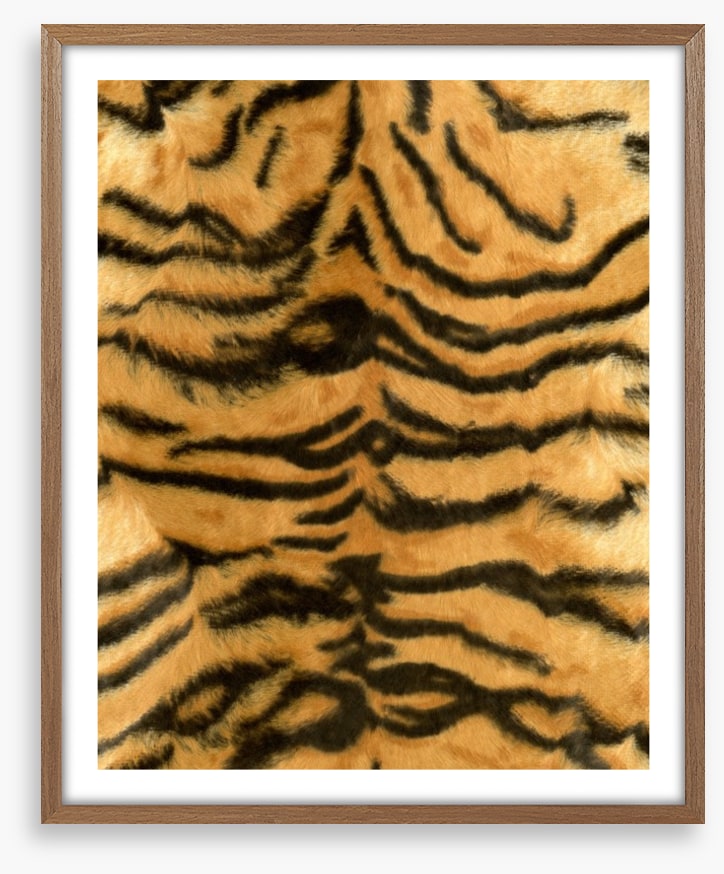 Animal Print