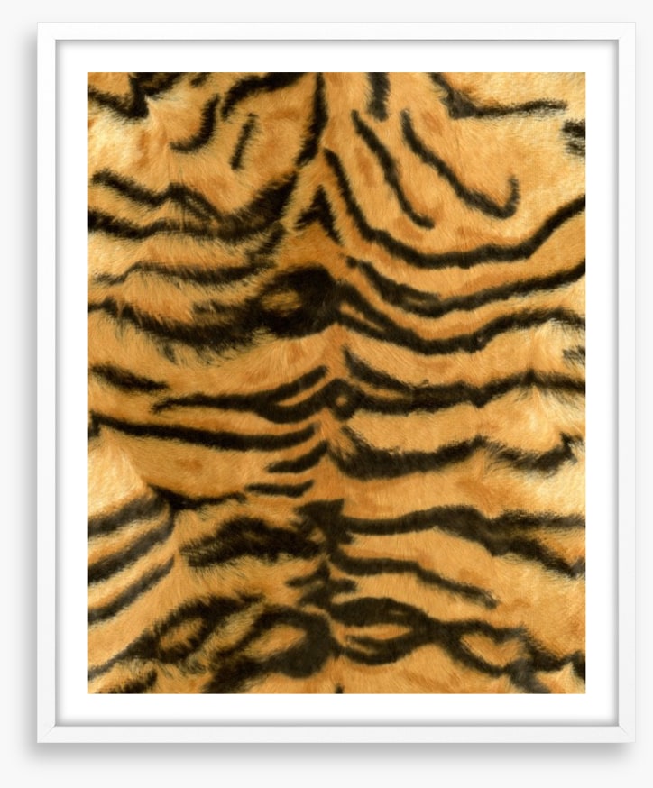 Animal Print