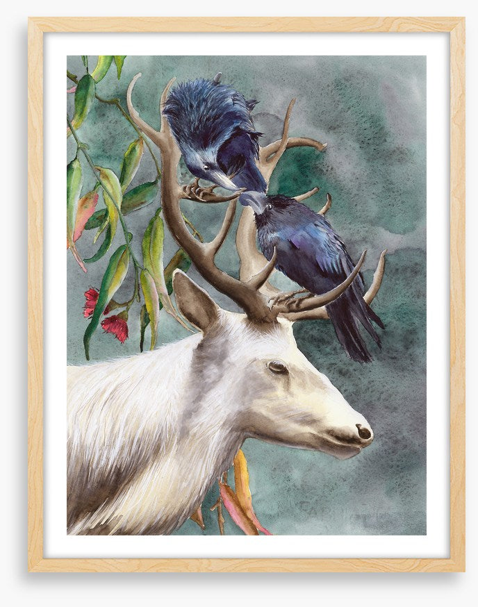 Animals
