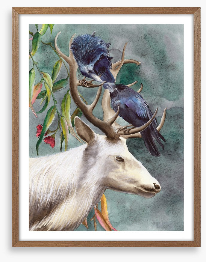 Animals