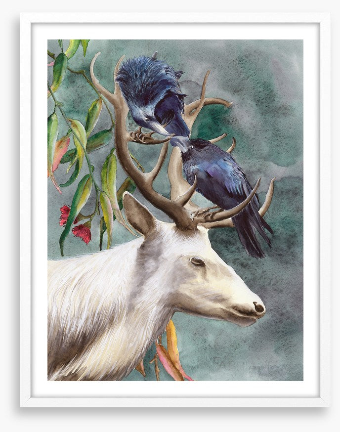 Animals