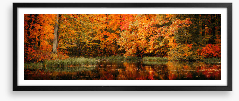 Lakeside fall panorama