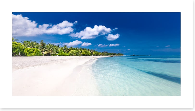 Palm fringed paradise