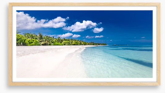 Palm fringed paradise