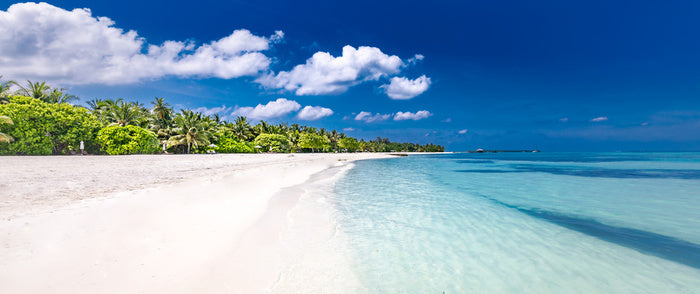 Palm fringed paradise