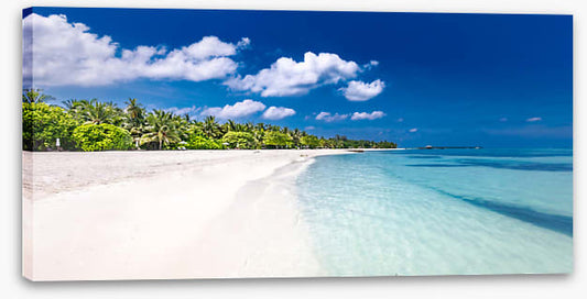 Palm fringed paradise