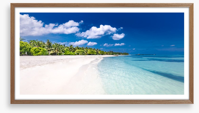 Palm fringed paradise