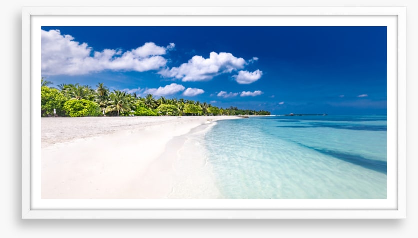 Palm fringed paradise