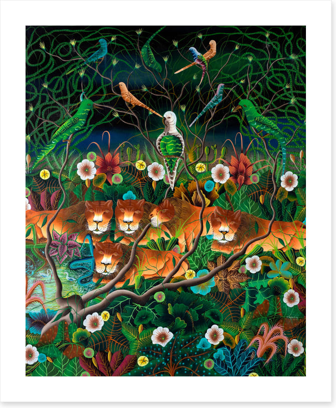 The lions sleep tonight