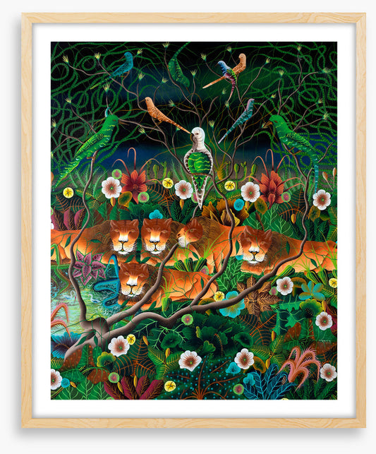 The lions sleep tonight