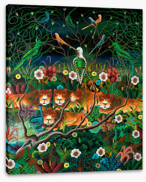 The lions sleep tonight