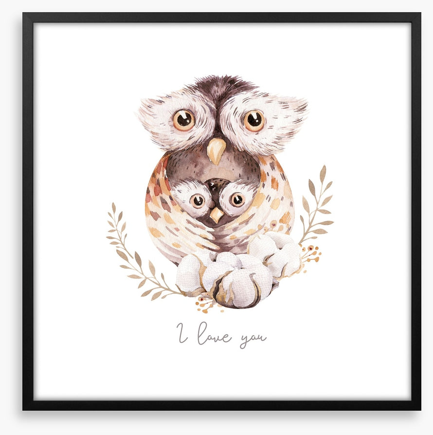 Owls