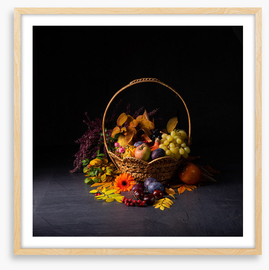 Still Life