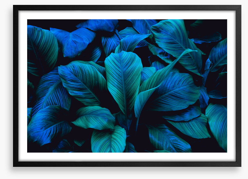 Leafy blues 1