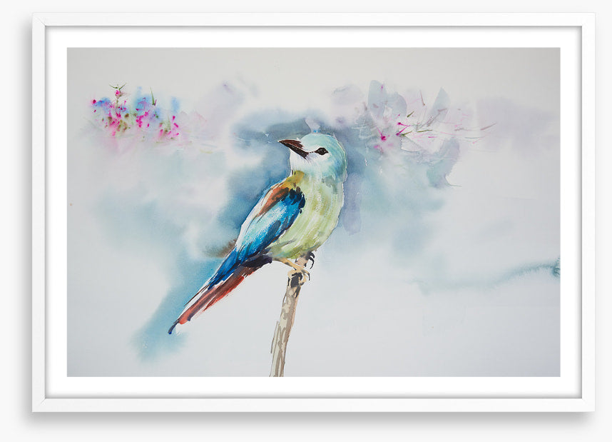 A little birdie