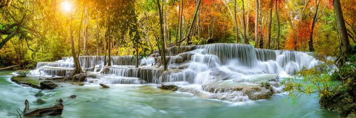 Sunlight falls panorama