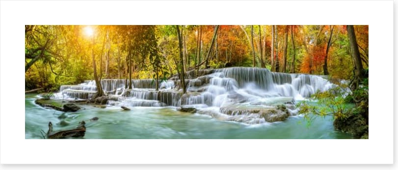 Sunlight falls panorama