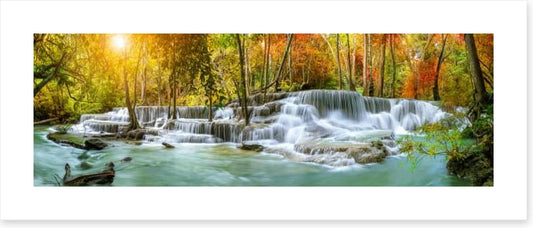 Sunlight falls panorama