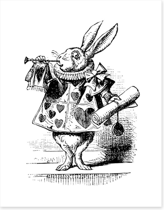 The White Rabbit