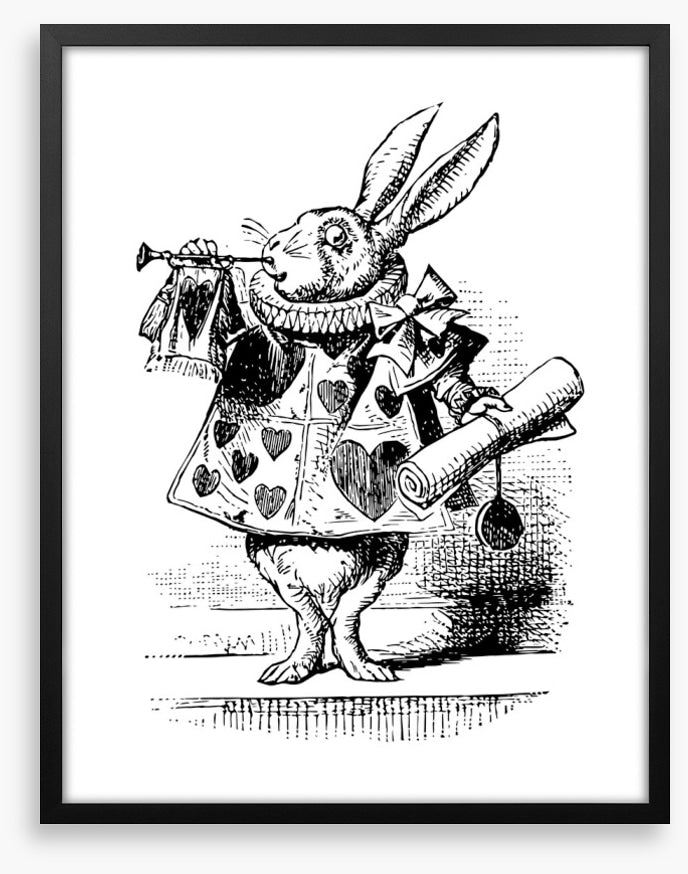 The White Rabbit