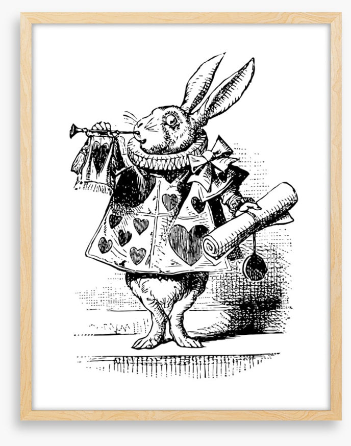 The White Rabbit