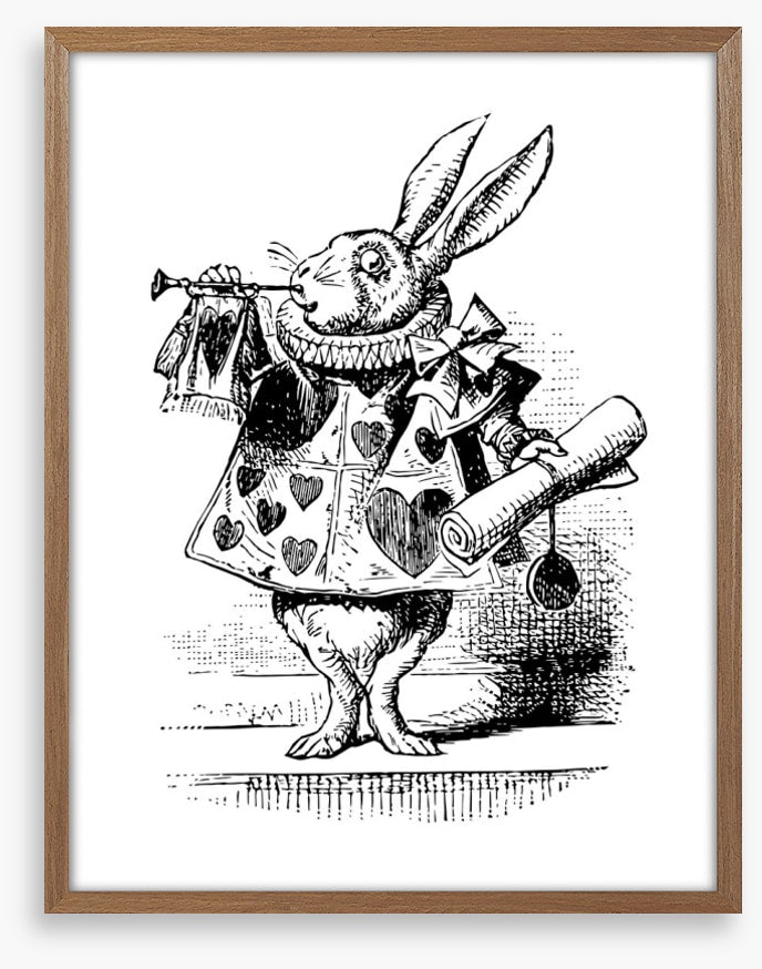 The White Rabbit