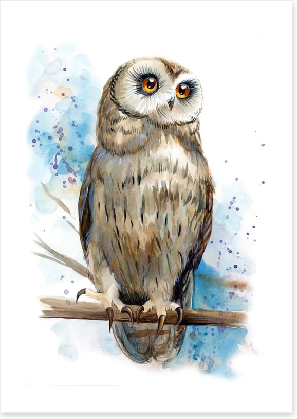 Owl be watching