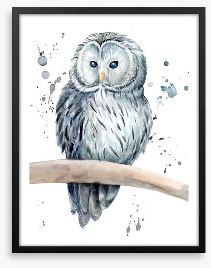 Snowy owl splash