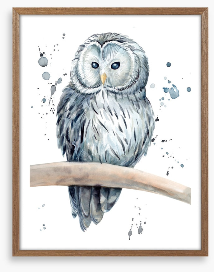 Snowy owl splash