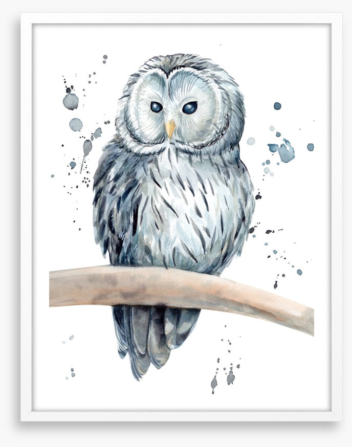 Snowy owl splash