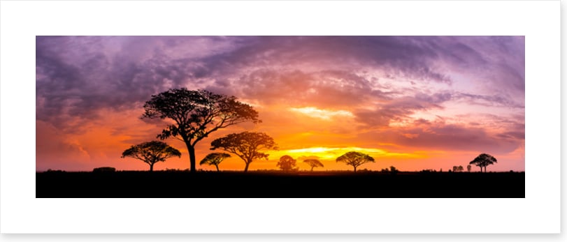 Below the setting sun