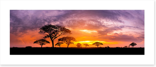 Below the setting sun