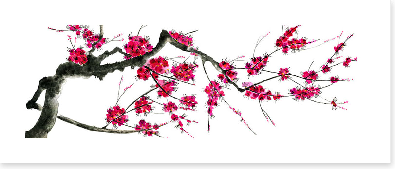 Plum mei panoramic